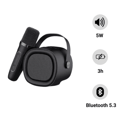 Loa Karaoke Mini Havit SK819