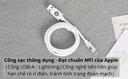 files/media/catalog/product/c/a/cap-sac-lightning-mophie-1m-an-toan-didongviet.jpg