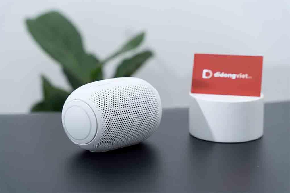 Loa Bluetooth LG XBOOM GO PL2