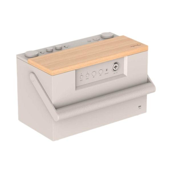 Loa Bluetooth Fender E12