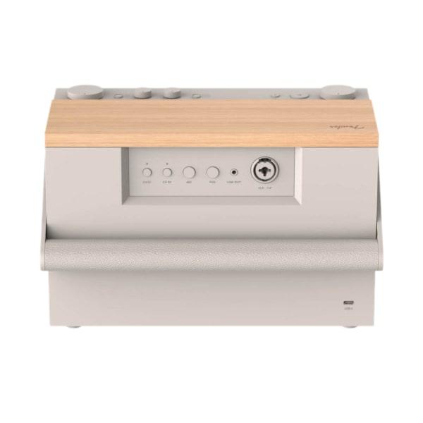 Loa Bluetooth Fender E12