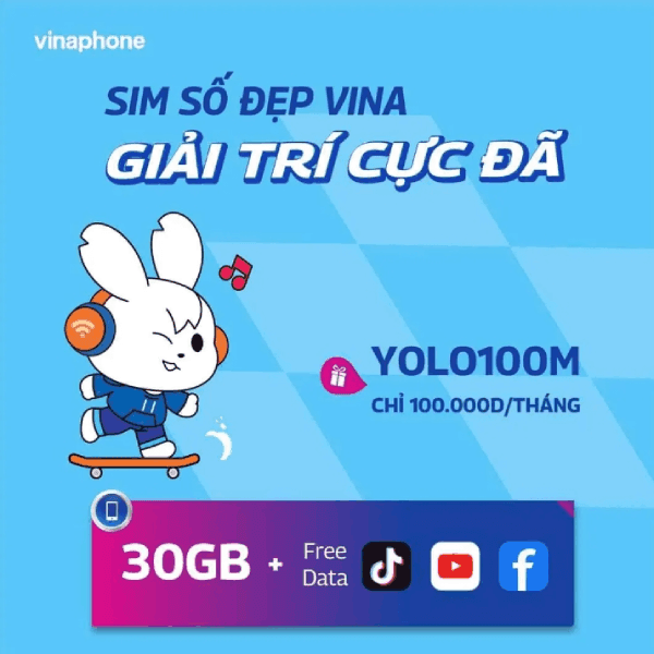 Sim Vinaphone Data 5G Yolo100M