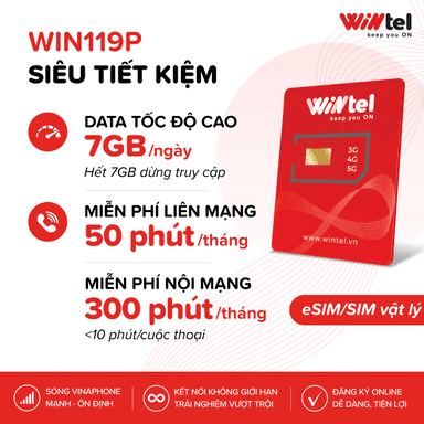 Sim Wintel Data 4G Win119P