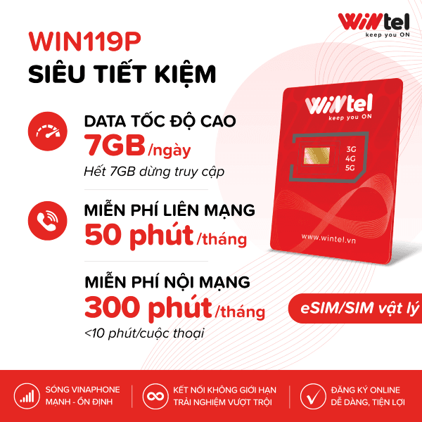 Sim Wintel Data 4G Win119P