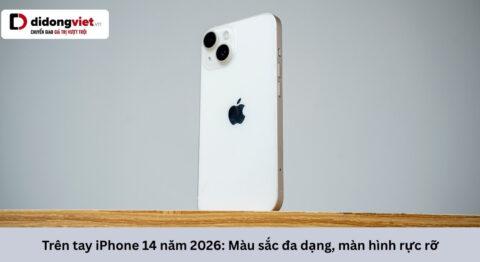 Trên tay iPhone 14 năm 2026: Màu sắc đa dạng, màn hình rực rỡ