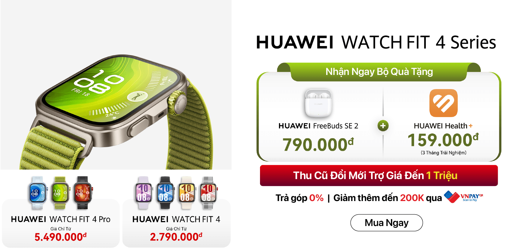 HW Fit 4