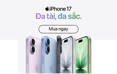 IP17 (MB)