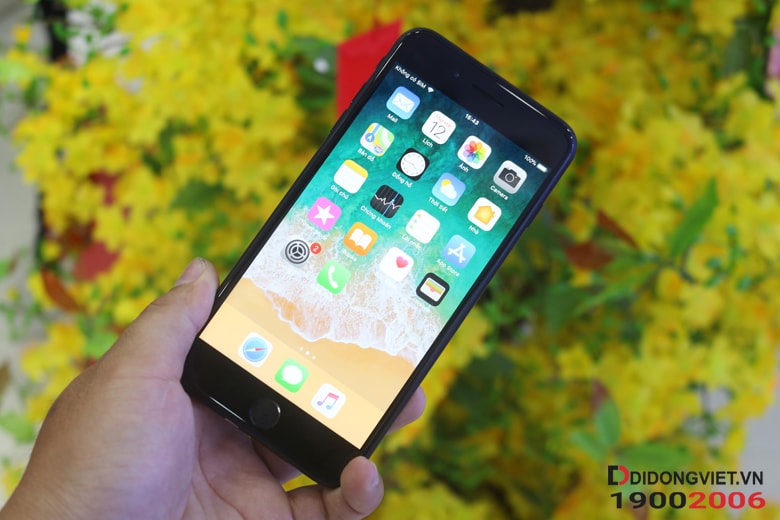 iPhone 7 Plus 256GBcũ (REF) Giá rẻ - Trả góp 0% tại Di Động Việt