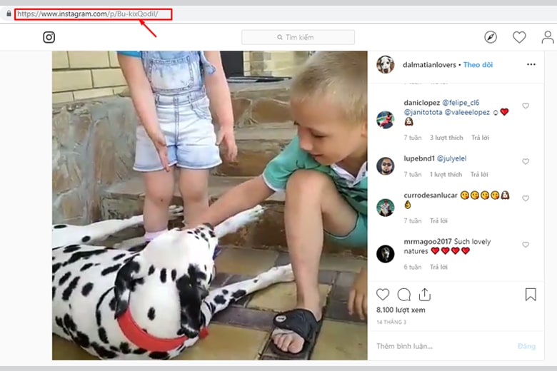 Lựa chọn video Instagram muốn tải về