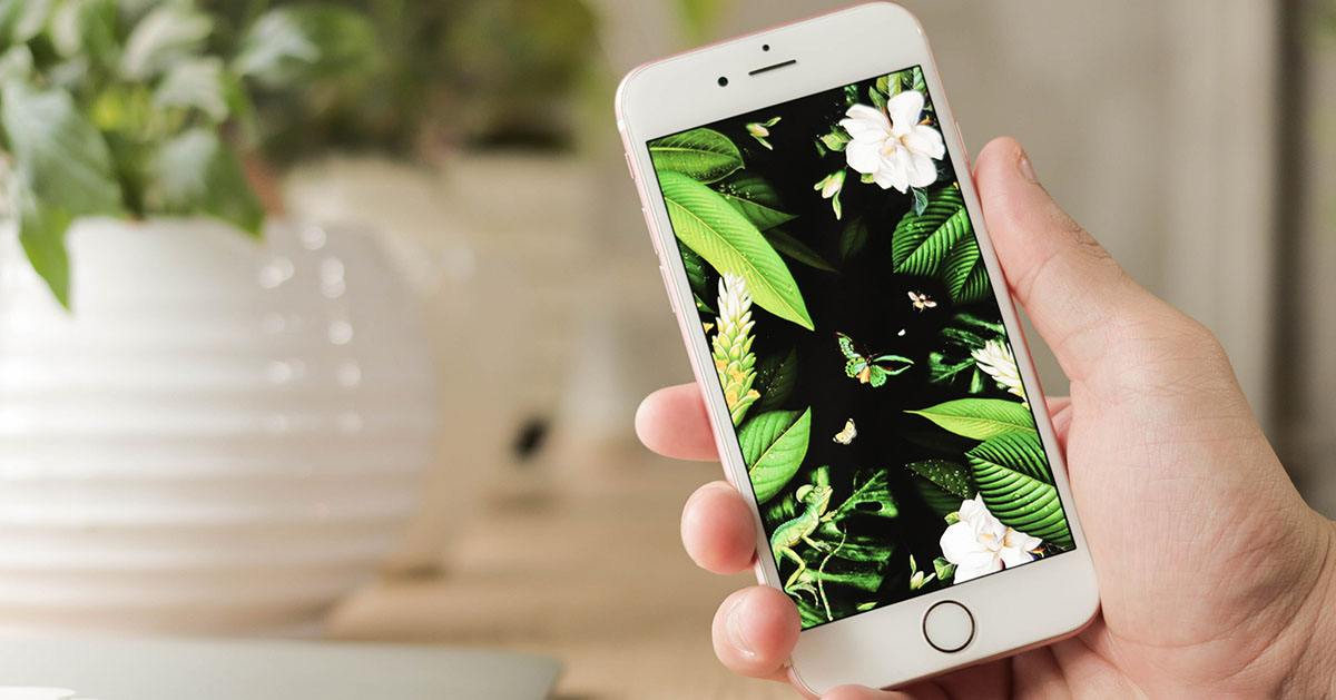 iPhone 6S|6S Plus giảm đến 1,1 triệu tại Di Động Việt