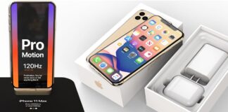 iPhone 11 của Apple có thể được hỗ trợ bút Apple Pencil