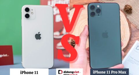 So sánh iPhone 11 và iPhone 11 Pro Max