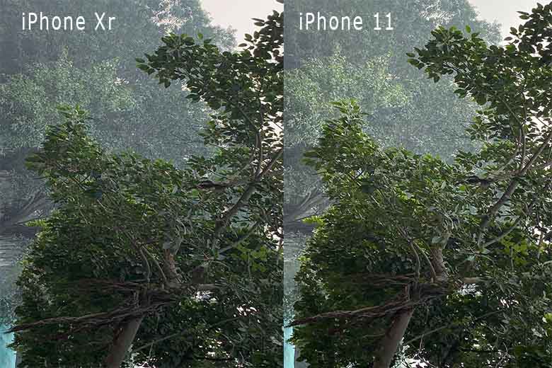 Khả năng zoom iPhone Xr và iPhone 11