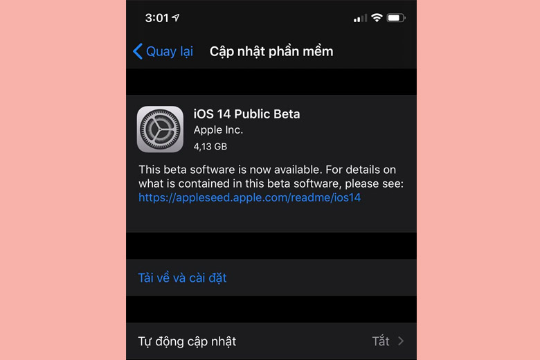 Hoàn thành cài đặt iOS 14 Beta