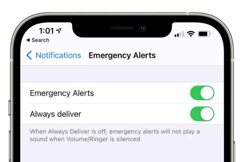 Emergency iOS14.5 didongviet