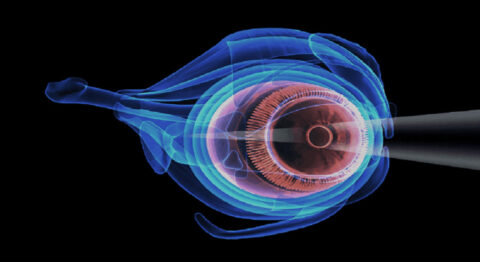 Màn hình điện thoại gập Xiaomi Mi Mix đến từ nhà sản xuất nào? Xiaomi mi mix