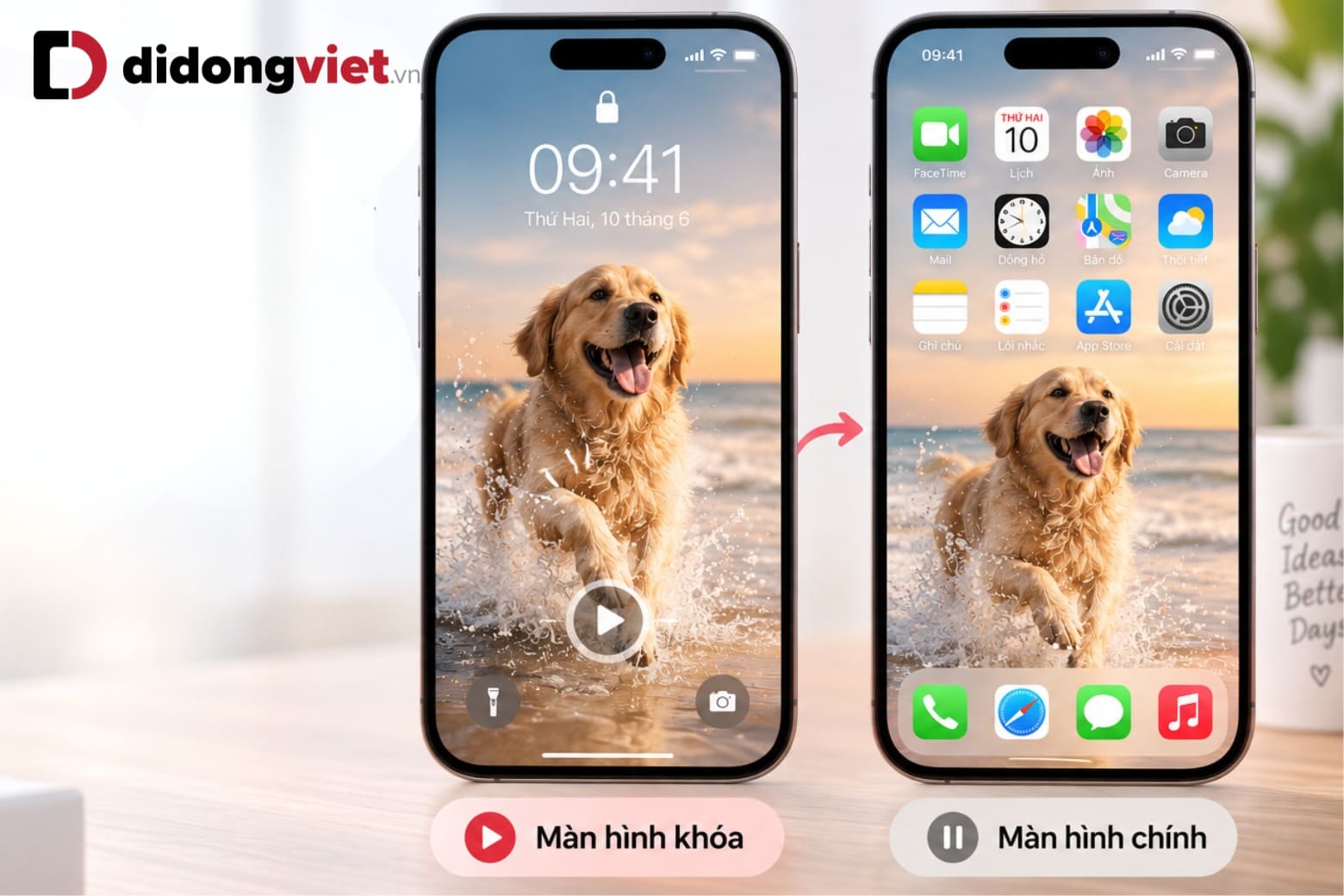 Hình nền động trên iPhone: Cách cài bằng Live Photo và video 21 Màn hình khóa vẫn là nơi phù hợp nhất cho hình nền chuyển động