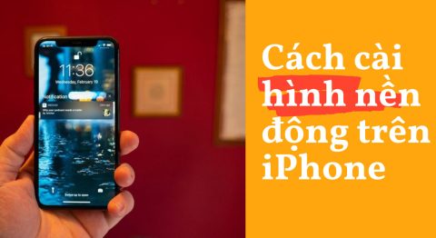 Cài hình nền động cho iPhone