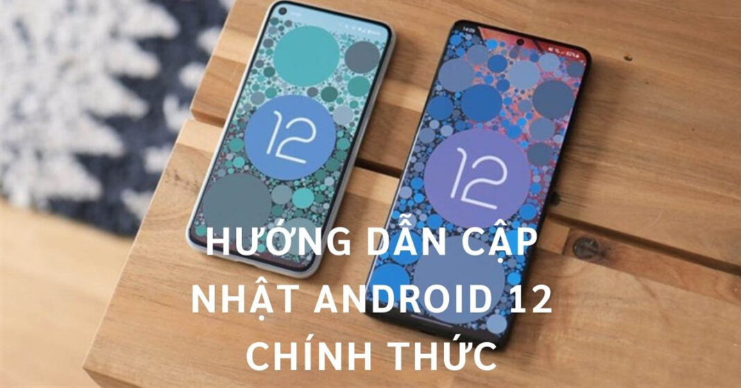 Cập nhật Android 12 chính thức