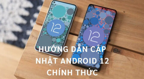 Cập nhật Android 12 chính thức
