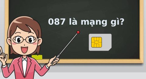 087 là mạng gì