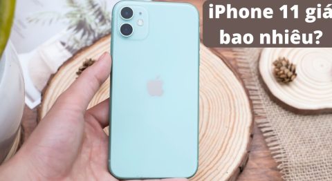 iPhone 11 giá bao nhiêu