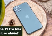 iPhone 11 Pro Max giá bao nhiêu