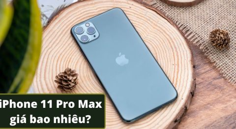 iPhone 11 Pro Max giá bao nhiêu