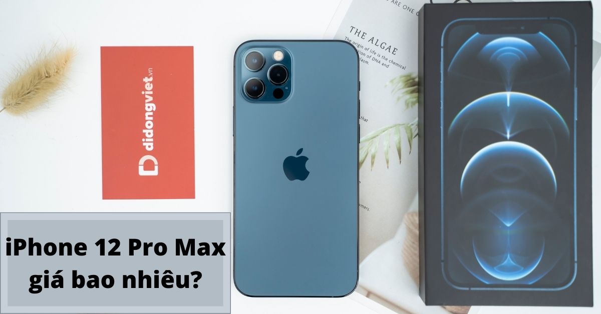 iPhone 12 Pro Max giá bao nhiêu 2022? Liệu có còn đáng mua?