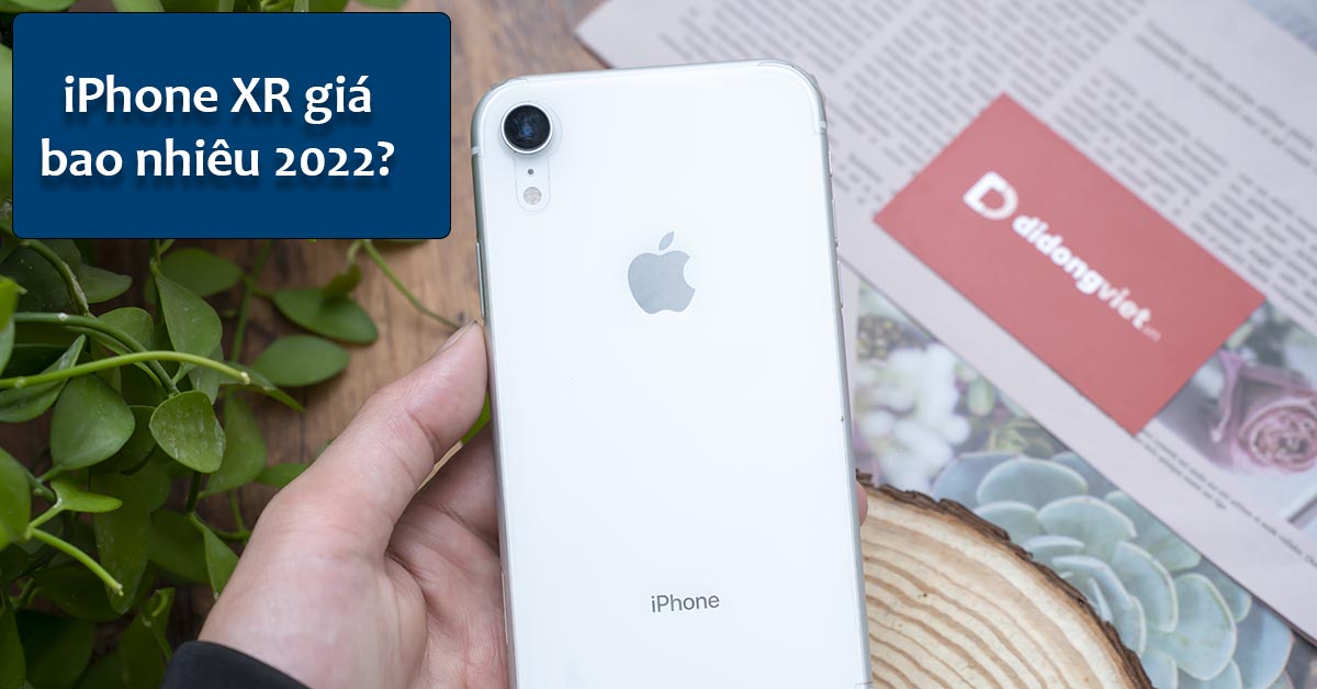 iPhone XR giá bao nhiêu 2022? Cập nhật 11/05/2022
