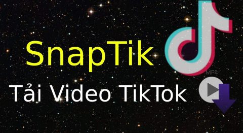Mẹo tải video TikTok không dính logo trên SnapTik – ứng dụng điện thoại miễn phí đang cực hot