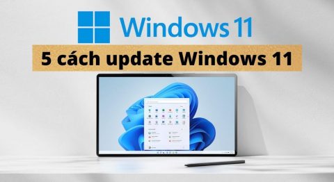 Cách update Windows 11