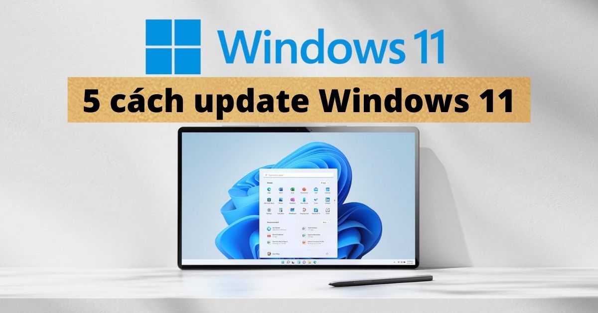 Hướng dẫn 5 cách Update Windows 11 chính thức dễ dàng nhất