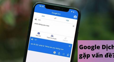 Google Dịch nói bậy
