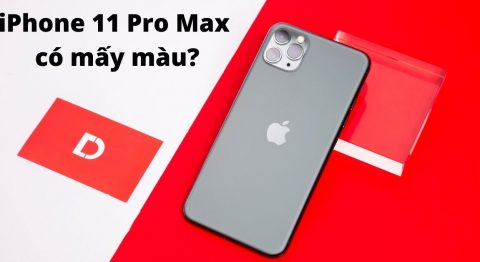 iPhone 11 Pro và 11 Pro Max có mấy màu? Cách chọn màu hợp với mệnh của bạn iPhone 11 pro max có mấy màu