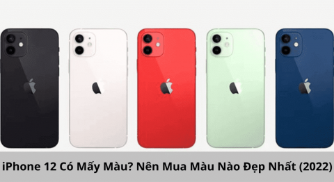iPhone 12 có mấy màu