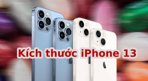 Kích Thước iPhone 13 (mini, Pro, Pro Max) Bao Nhiêu inch? Có điểm tương đồng gì? kích thước iPhone 13