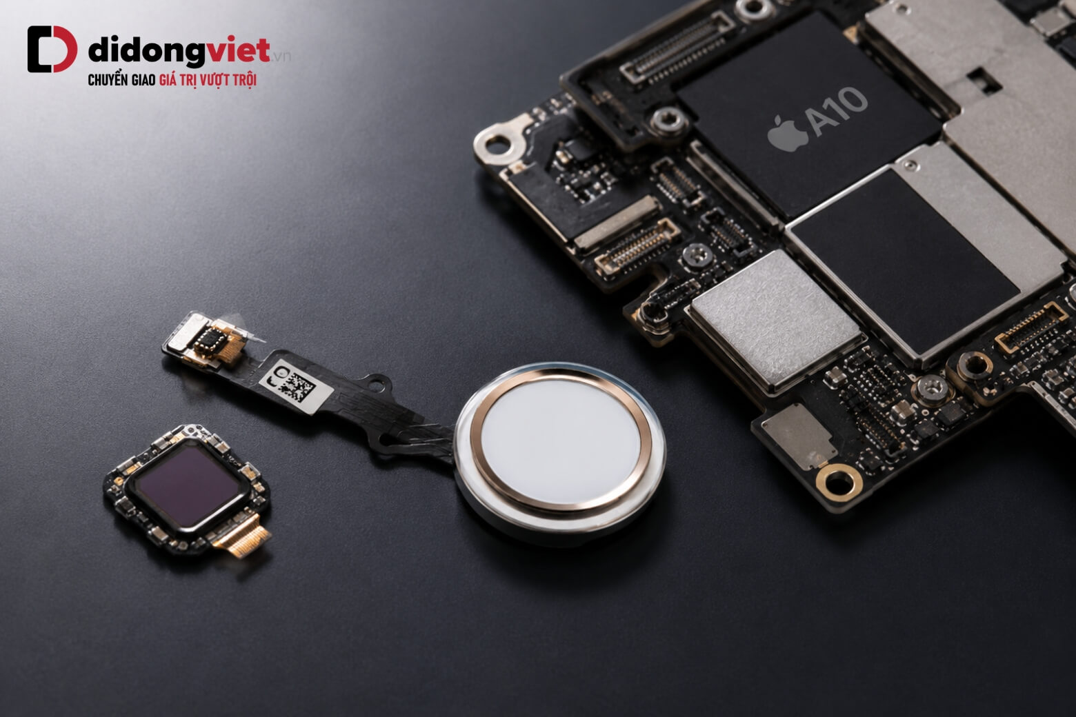 Hướng dẫn cách bật nút Home iPhone ảo và cách xử lý lỗi phần cứng an toàn 9 Nút Home iPhone Touch ID ghép nối Secure Enclave