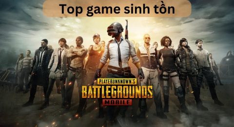 game sinh tồn