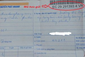 [Hướng dẫn] 3 Cách Tra Cứu Vận Đơn Bưu Điện Cực Kỳ Nhanh