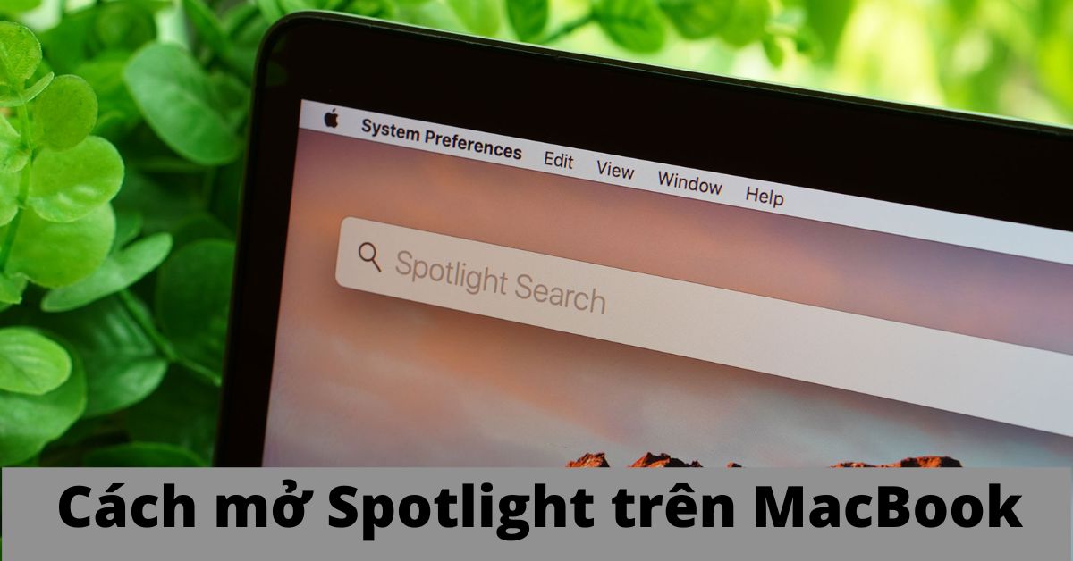 Hướng dẫn cách mở Spotlight trên MacBook nâng cao hiệu quả công việc