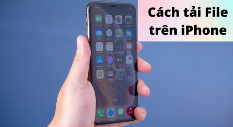 Hướng dẫn các cách tải File trên iPhone đơn giản, hiệu quả nhanh Cách tải File trên iPhone
