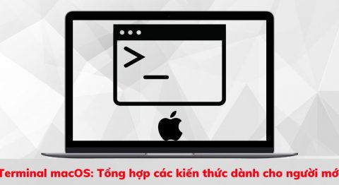 terminal macos