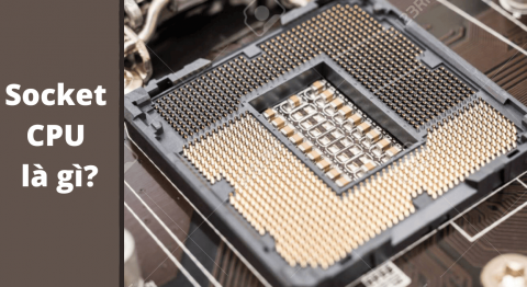 socket cpu