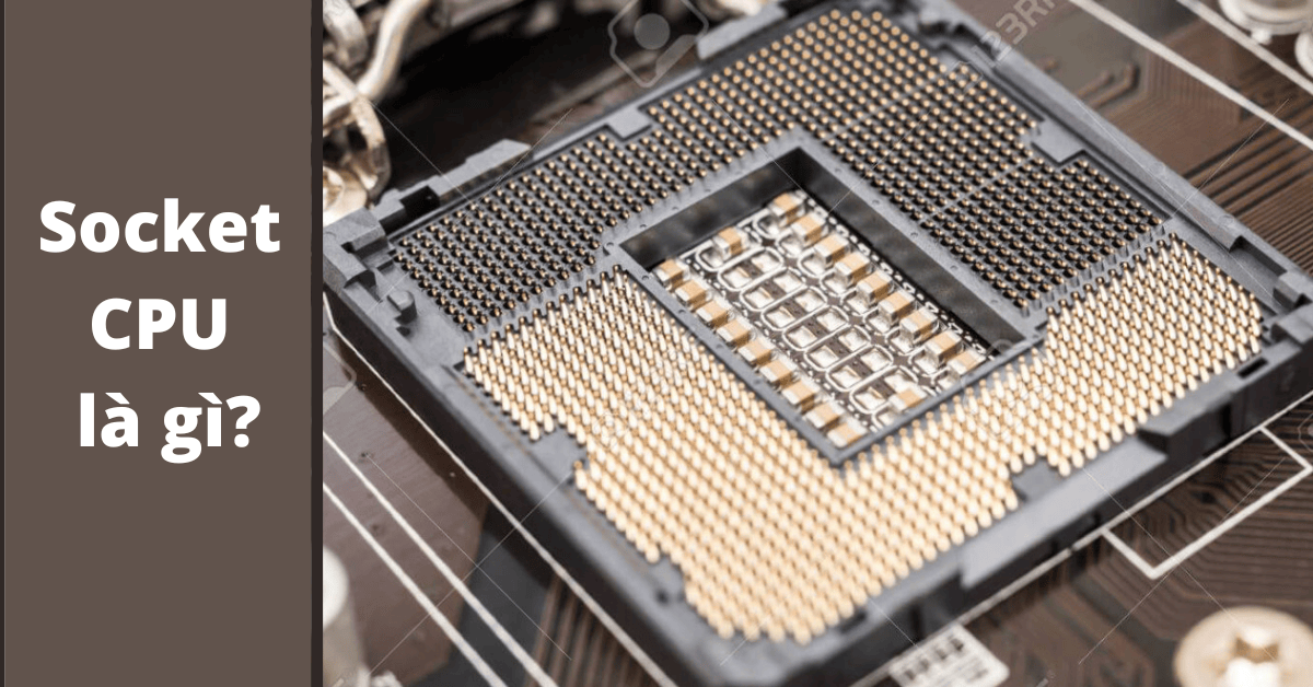 Socket CPU là gì? Tìm hiểu các loại socket CPU phổ biến 2023