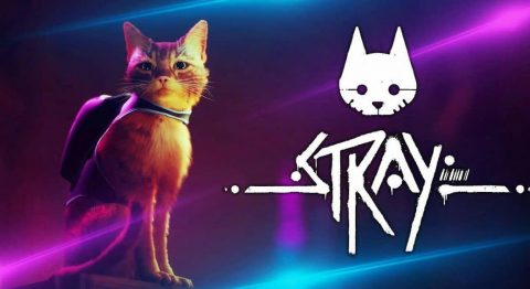 Game Stray – “Hoàng thượng” đi khám phá thành phố đã bị bỏ hoang bởi con người Game Stray