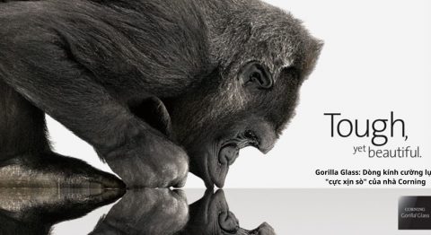 gorilla glass