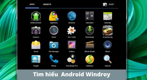 Tìm hiểu phần mềm giả lập Android Windroy. Cách cài đặt và sử dụng phần mềm Windroy windroy