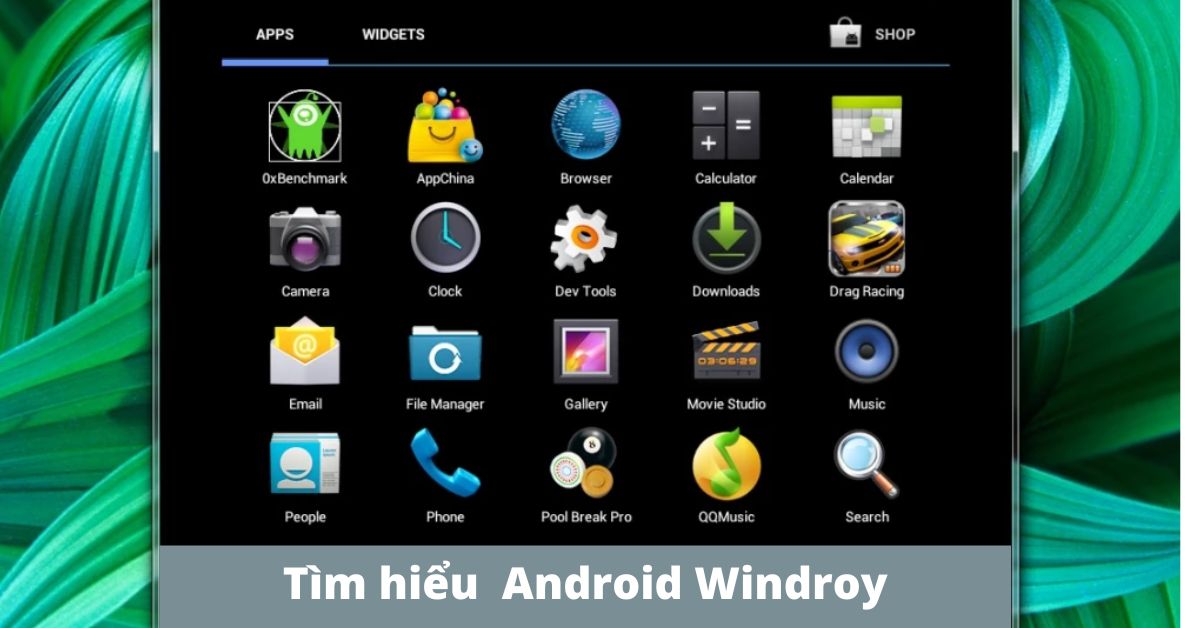 Tìm hiểu phần mềm giả lập Android Windroy. Cách cài đặt và sử dụng phần mềm Windroy