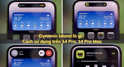 Dynamic Island